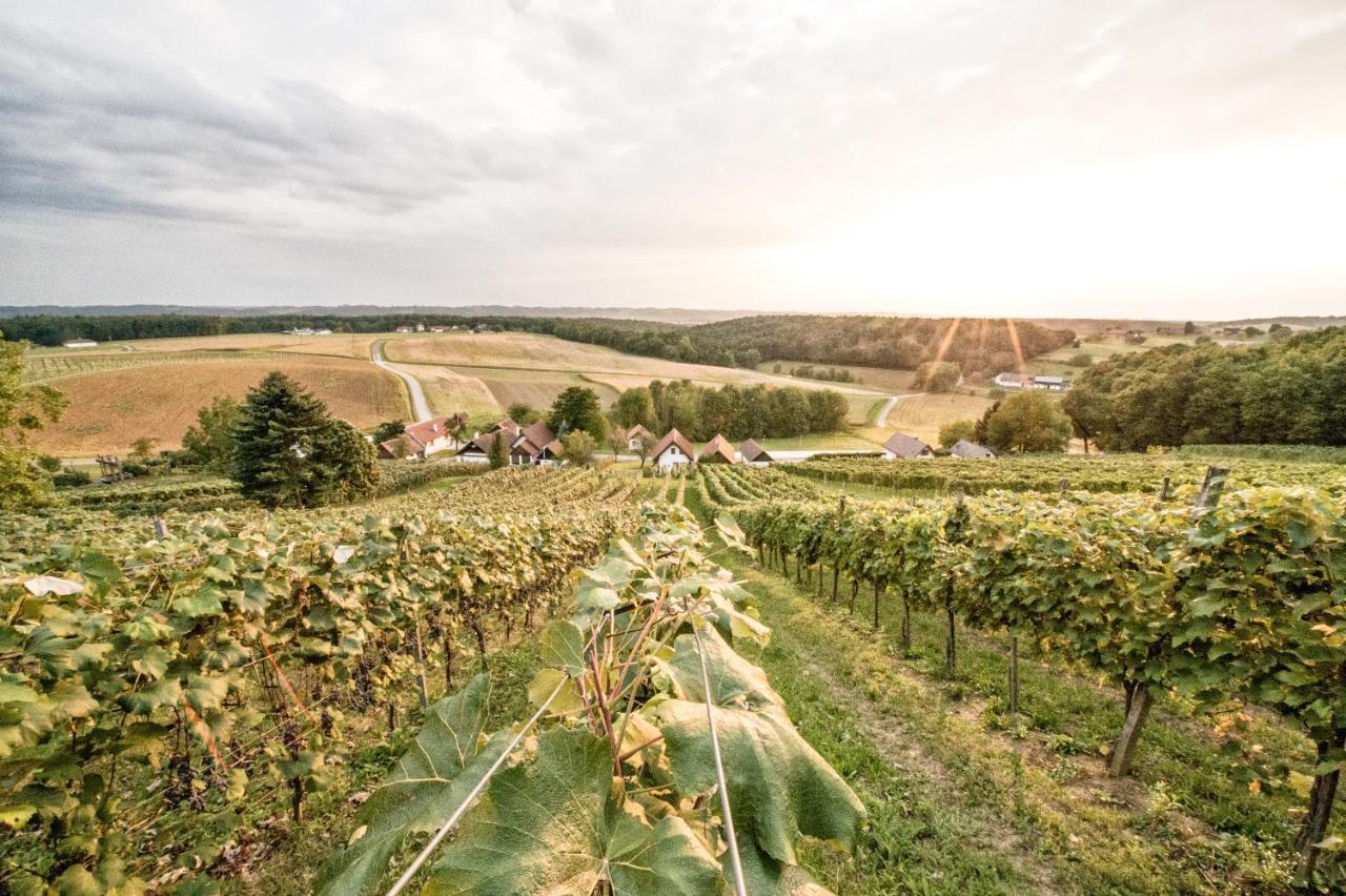 Wiener Kellerstoeckl - Das 13Er Eltendorf Buitenkant foto